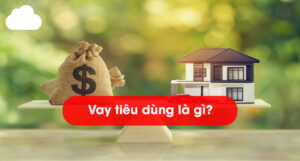 Vay tiêu dùng là gì? Những hình thức vay hiện nay